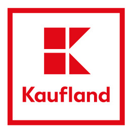 exemplu logo standard 1